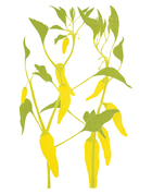 fruits_peppers_621