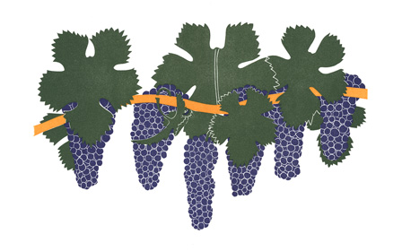 grapes_cabernet_lrg