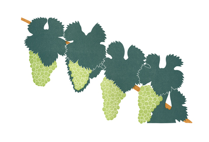grapes_chardonnay_lrg