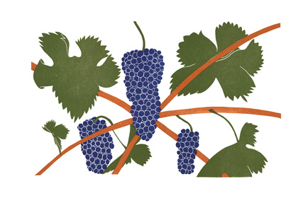 grapes_zinfandel_lrg